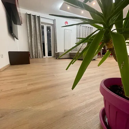 Breanwhi-to * تورينو